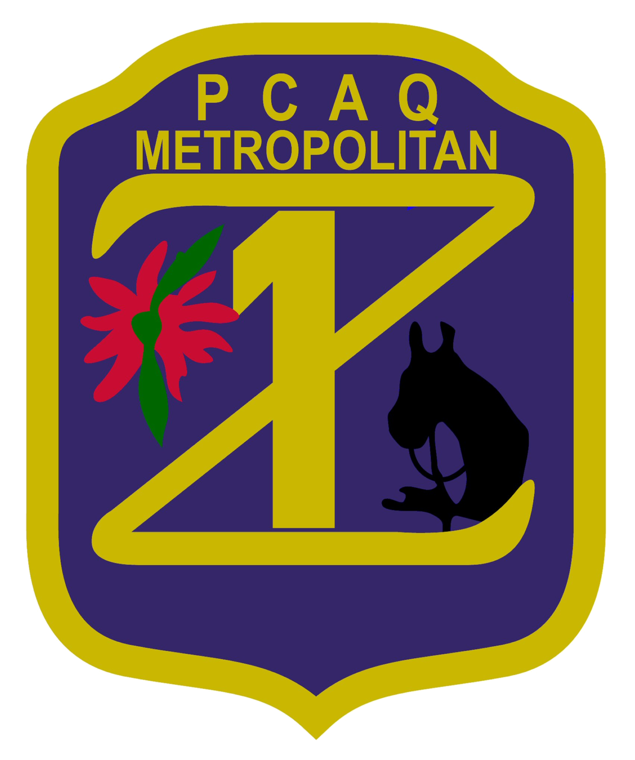 dressage-combined-training-pcq-metropolitan-zone-1